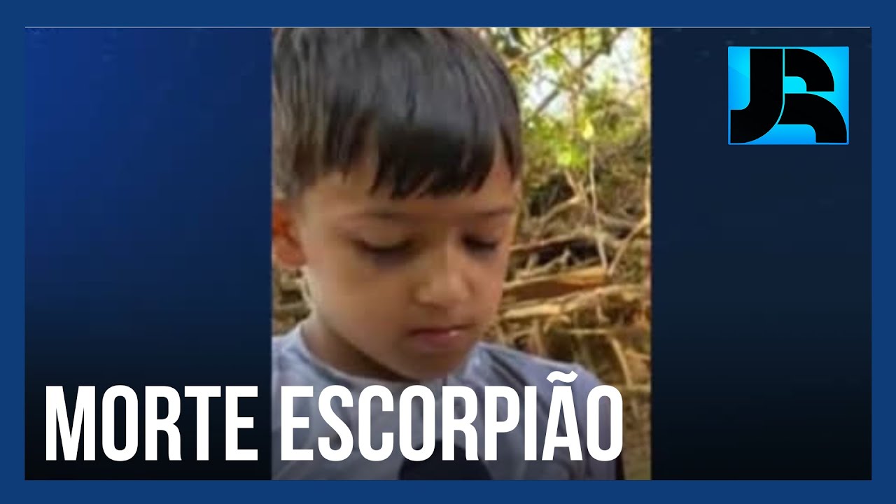 Menino de 7 anos morre após ser picado por escorpião SuaCidade