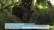 Capacitação sobre atendimento a casos de maus-tratos de animais acontece em SL