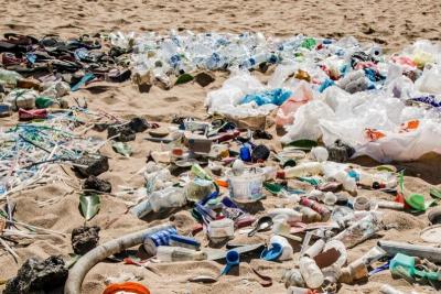 Plástico: derivados contaminam vida marinha e afetam humanos