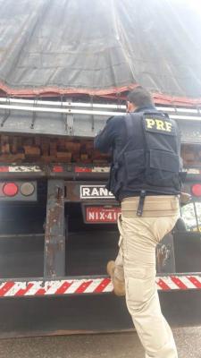 PRF apreende carga de madeira irregular BR 010 em Imperatriz