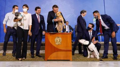 Sancionada lei que aumenta pena para quem maltratar animais