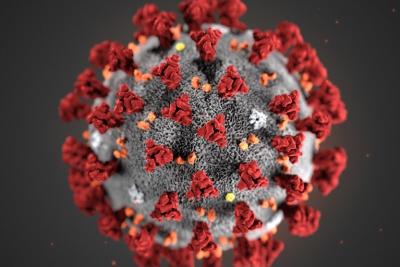  Coronavírus: chega a 211 mil o número de curados no Brasil 