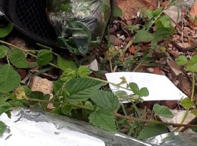 BOPE detorna artefato explosivo no bairro Cohatrac em São Luís 