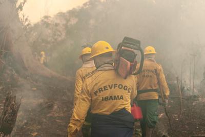 Brasil lidera com maior perda florestal na última década