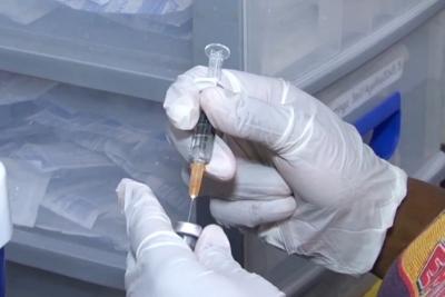  Vacina brasileira contra covid-19 começa a ser testada em animais 