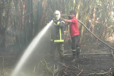 Santa Inês: Bombeiros combatem incêndios em vegetação