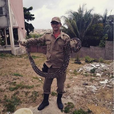 Jiboia é encontrada em lixo de condomínio no bairro Bequimão