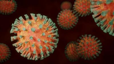 MA tem 117.694 casos confirmados do novo coronavírus
