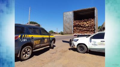 PRF apreende 42 carretas com madeira ilegal em 2020