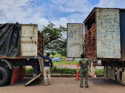 PRF apreende cinco carretas com madeira irregular no MA