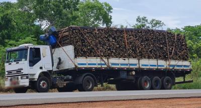 PRF apreende mais de 50 metros cúbicos de lenha nativa em Caxias