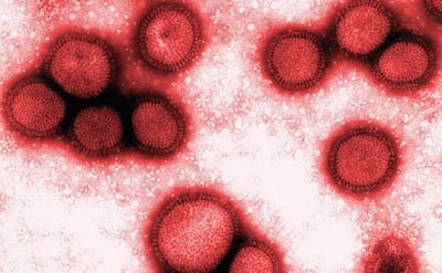 Maranhão registra primeiro caso de Influenza H3N2