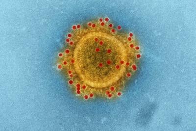 Covid-19: MA tem 971 casos confirmados e 8 mortes nas últimas 24h 