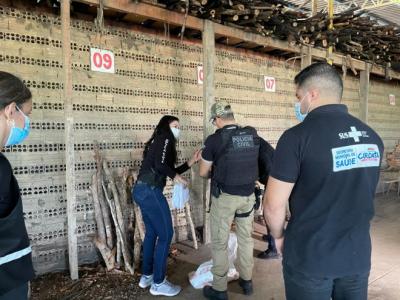 Polícia Civil incinera quase 15 quilos de drogas em Coroatá