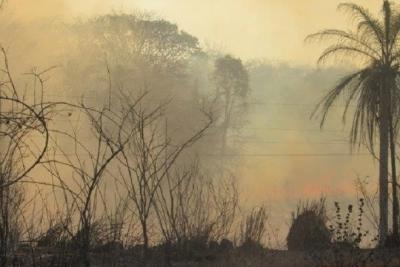 Cresce o número de queimadas próximas à rede elétrica no Maranhão