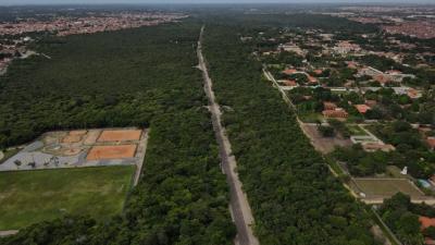 JF condena empresas por exploração imobiliária na reserva do Itapiracó