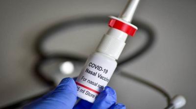 Covid-19: spray nasal feito no Brasil pode estar disponível até 2022