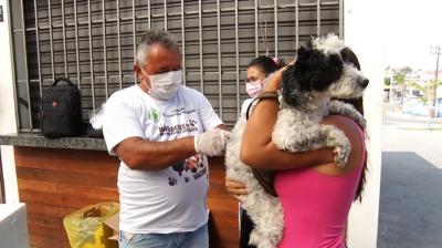 São Luís inicia Campanha Antirrábica em cães e gatos 
