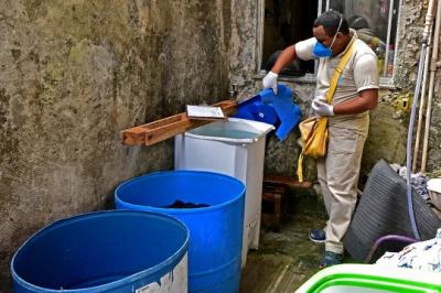 São Luís registra queda nos casos de dengue, aponta levantamento