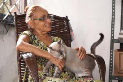 Mulher faz apelo para doação de gatos em São Luís