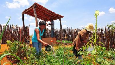 PGE-MA garante manutenção de convênio que beneficia famílias produtoras rurais