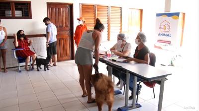 Bairro da Cidade Olímpica recebe ação do Mais Saúde Animal 