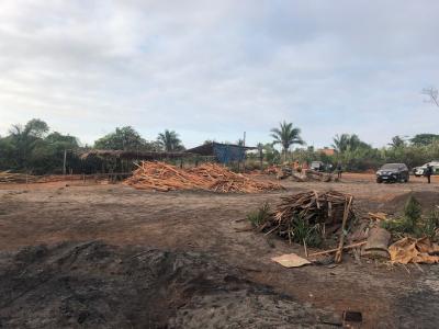 PF realiza duas operação contra extração ilegal de madeira no MA