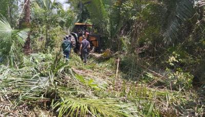 Alto Alegre: operação combate desmatamento em área de conflito agrário