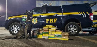 Mais de 46 kg de cocaína são apreendidos na BR- 316 em Timon