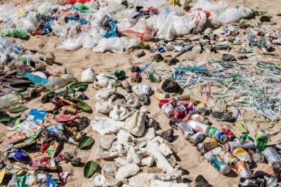 Microplásticos na agricultura contaminam o solo e ameaçam saúde humana 