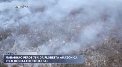 Maranhão perde 76% da Floresta Amazônica pelo desmatamento ilegal