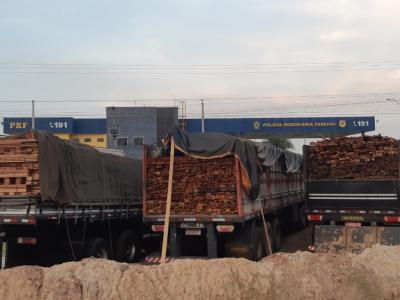 PRF apreende mais de 460m³ madeira ilegal no Maranhão