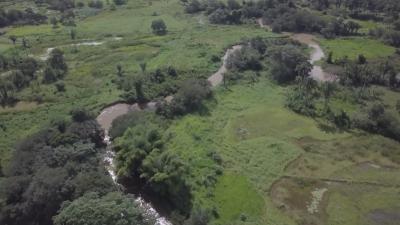 Moradores de comunidades em Mirador denunciam contaminação de rios
