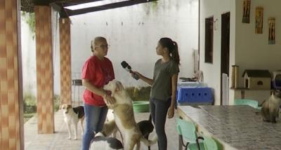 Conheça a história da mulher que resgata animais pelas rua de São Luís