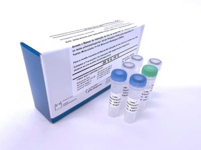 Varíola dos macacos: 2º kit para diagnóstico da Fiocruz recebe registro da Anvisa