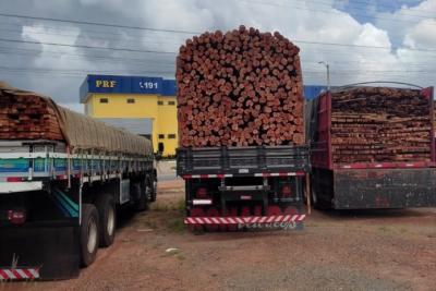 PRF: operação apreende mais de 300 m³ de madeira ilegal no Maranhão