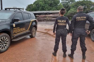 PF combate comércio irregular de madeira no Maranhão
