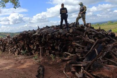 PF deflagra operação de combate ao desmatamento ilegal no MA