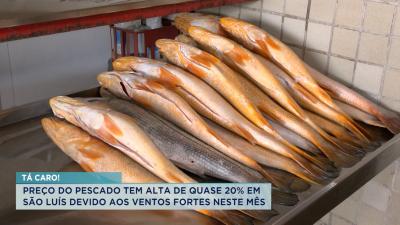 Preço do pescado tem alta de quase 20% devido aos ventos fortes neste mês