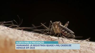 Maranhão já registrou quase 4 mil casos de dengue em 2023