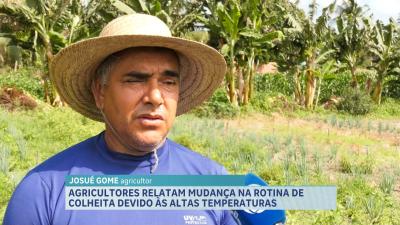 Agricultor relata mudança na rotina de colheita devido às altas temperaturas no Estado