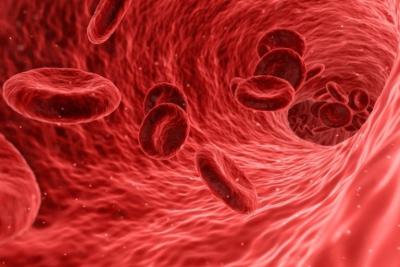 Saúde sensibiliza para diagnóstico precoce de hemofilia no MA