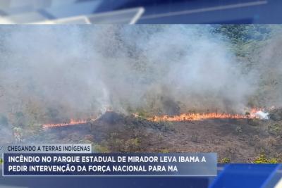 Incêndio no Parque Estadual de Mirador leva Ibama a pedir intervenção federal