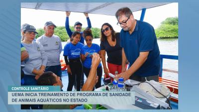 Parceria leva treinamento de controle sanitário de moluscos no Maranhão