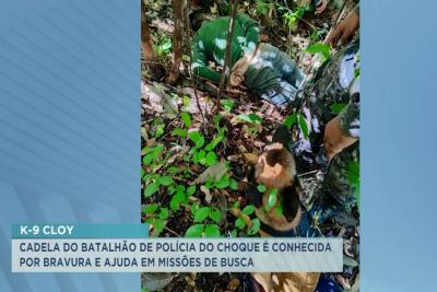 Cão do BP Choque ajuda a localizar criminoso no interior do Maranhão