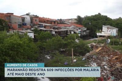 Maranhão já tem mais de 600 infecções por malária em 2023