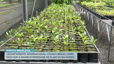 Parque botânico apresenta mais de 200 mil espécies de plantas em São Luís
