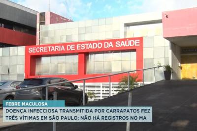 Febre maculosa: Maranhão não tem casos confirmados ou suspeitos da doença