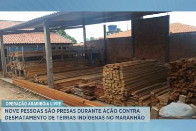 Serrarias e movelarias são interditadas por uso de madeira irregular no MA