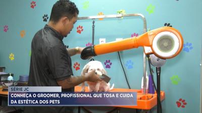 Conheça o groomer, profissional que tosa e trata a estética dos pets